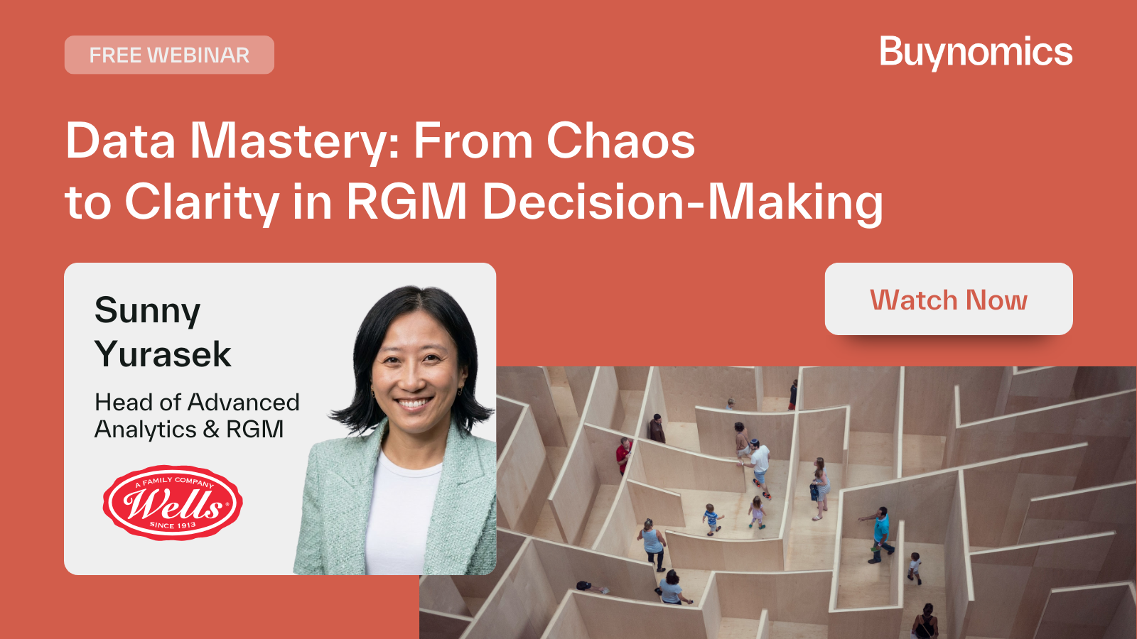20260211 Webinar RGM Decision-Making Sunny Wells