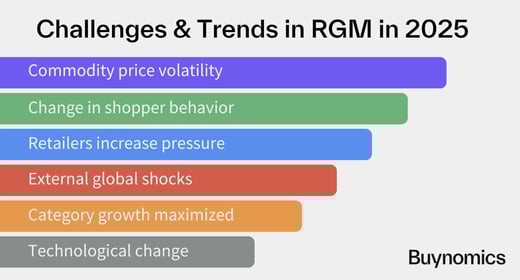 Navigating RGM Challenges in 2025: A Guide for Consumer Goods Leaders