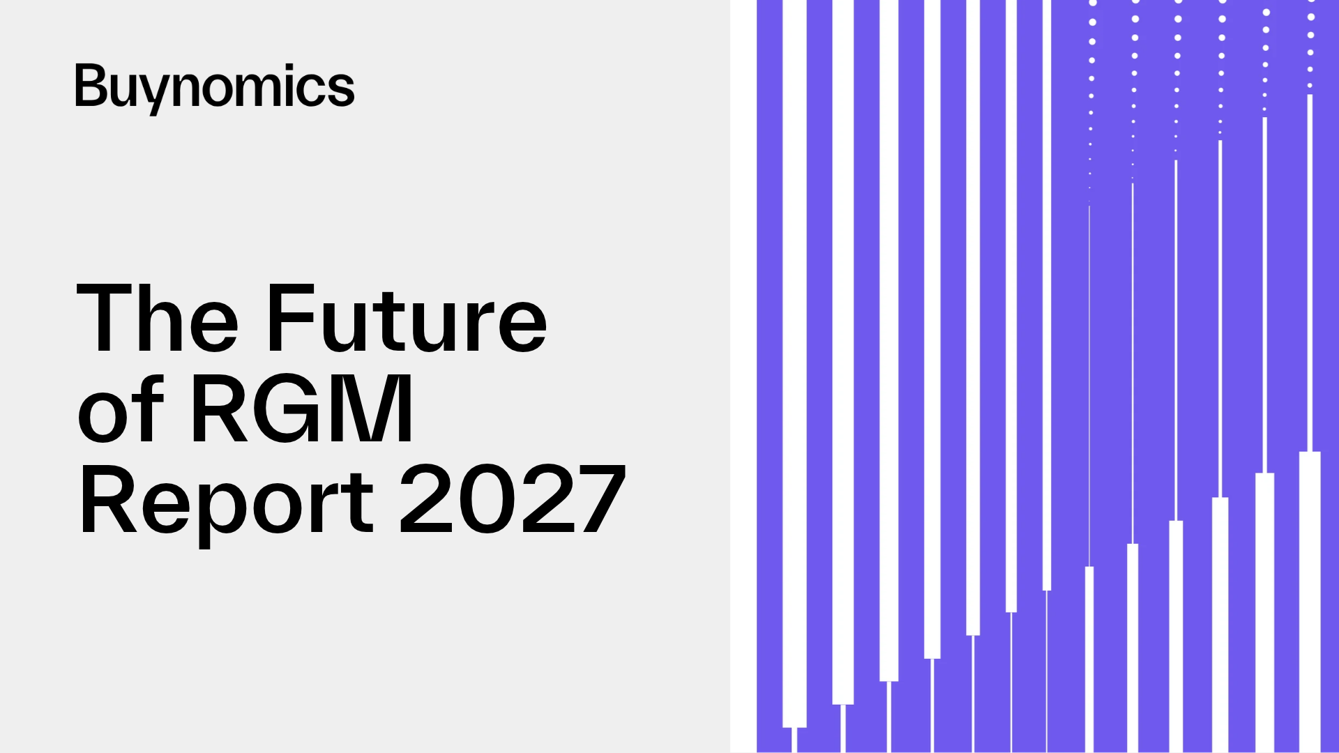 RGM Report 2027 - Email Banners (2)