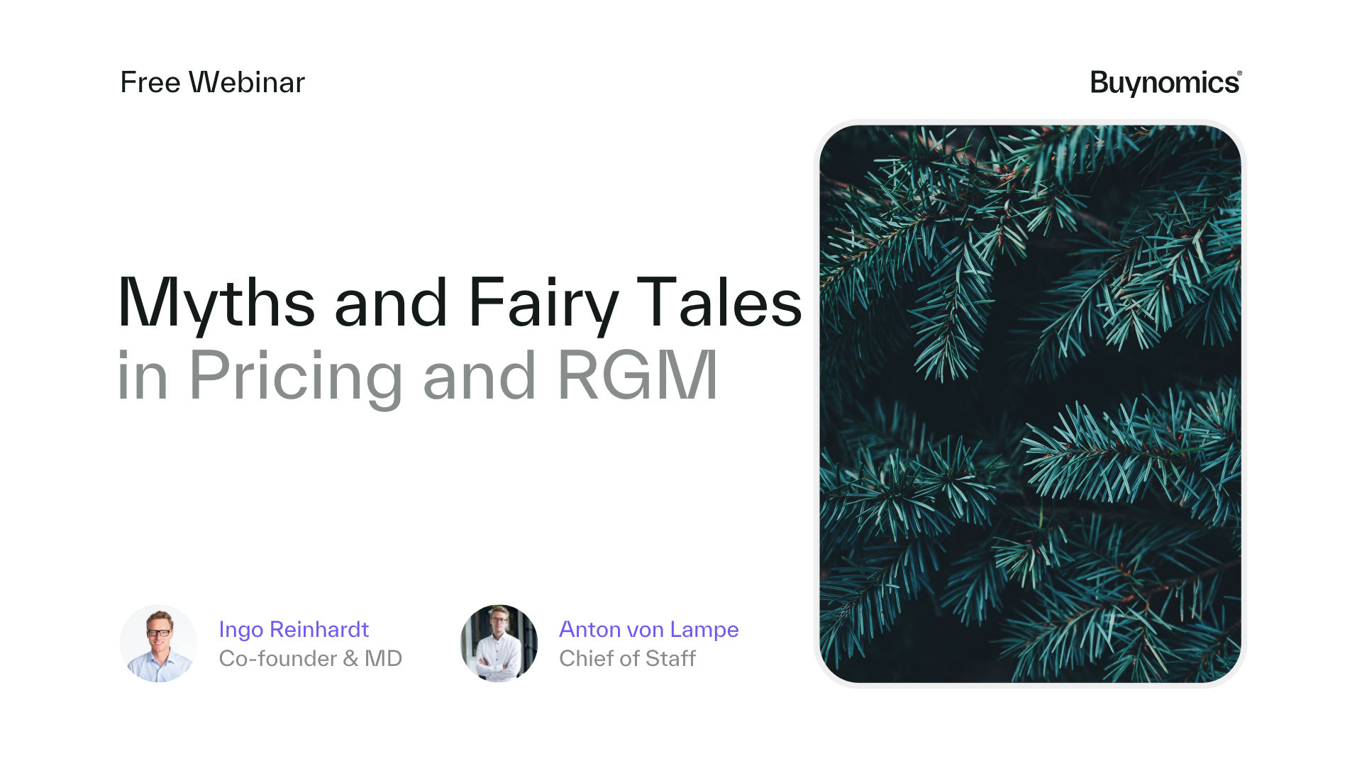 Webinar: Myths and Fairy Tales in Pricing (Christmas Special)